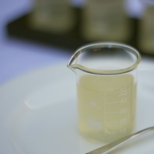 Gin jelly 2 resized square
