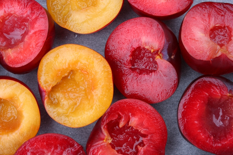 plums1 resized