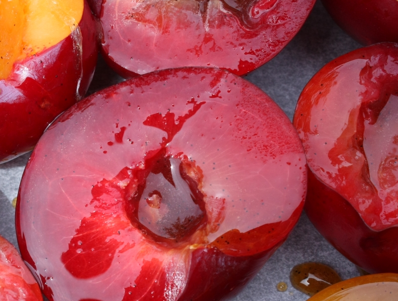 plums2 resized