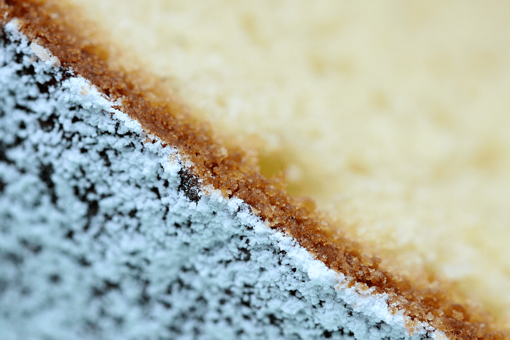 Almond cake